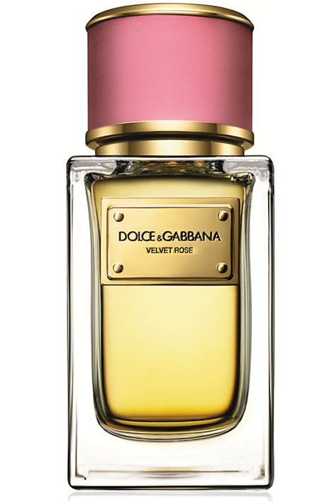 dolce and gabbana perfume rose|dolce and gabbana perfume price.